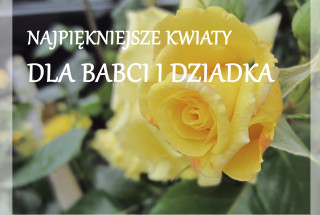 Dzień Babci i Dziadka 